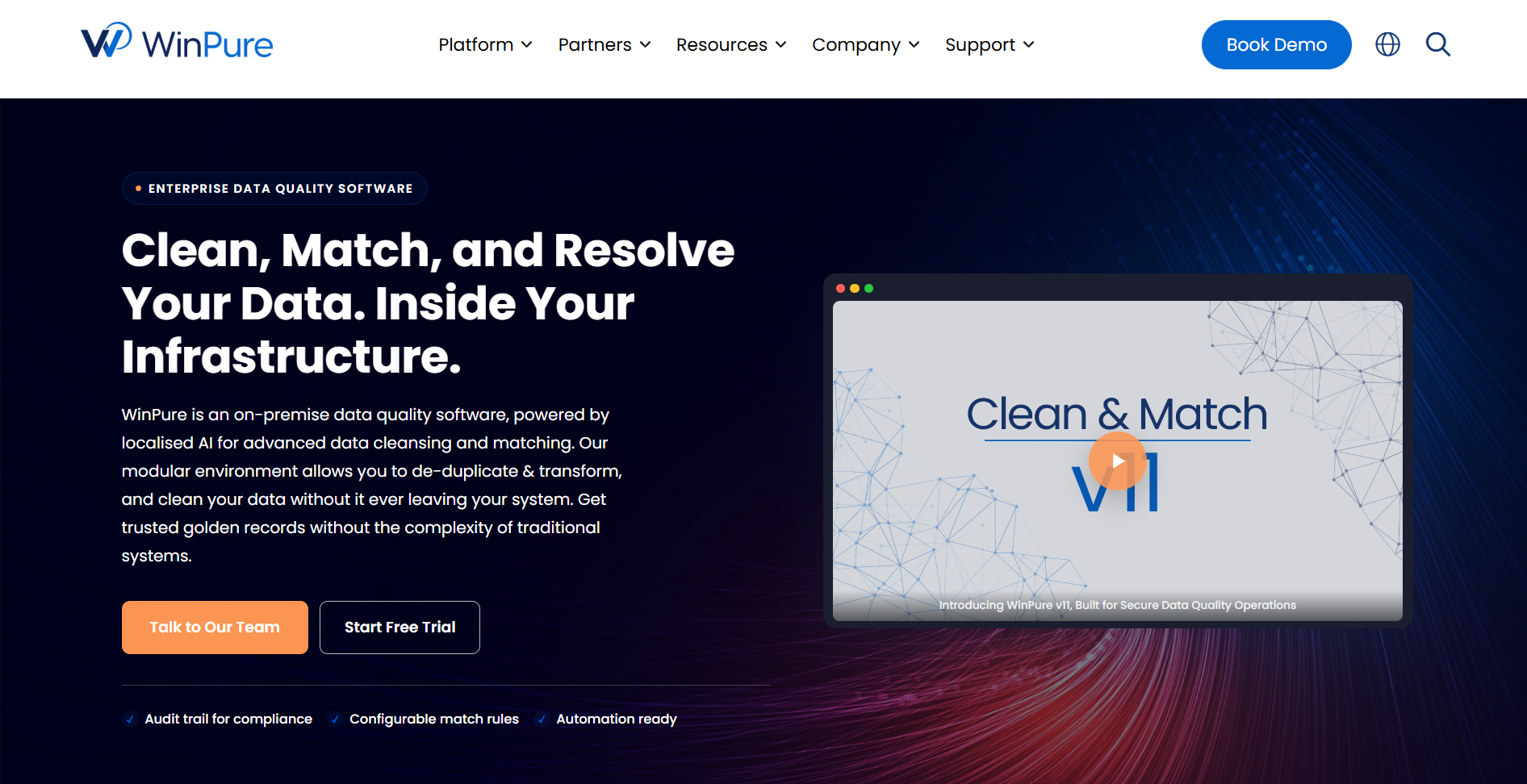 Screenshot of the WinPure Clean & Match homepage.